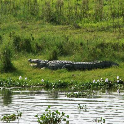 Chitwan National Park