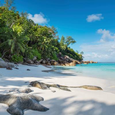 Beach View
