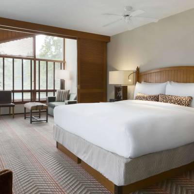 a bedroom with a large bed in a hotel room