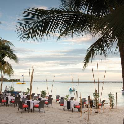 a group of people on a beach with a palm tree