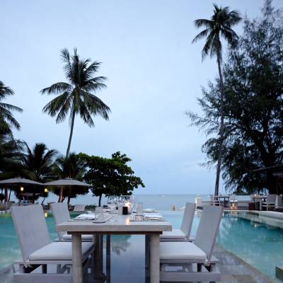 a pool next to a palm tree