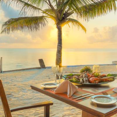 a palm tree on a table next to a body of water