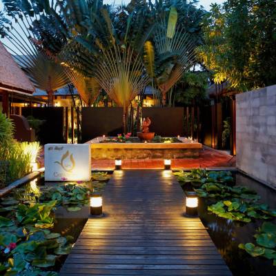 a view of a garden