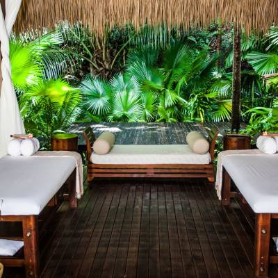 a group of palm trees on a table