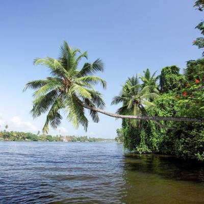 Bentota River
