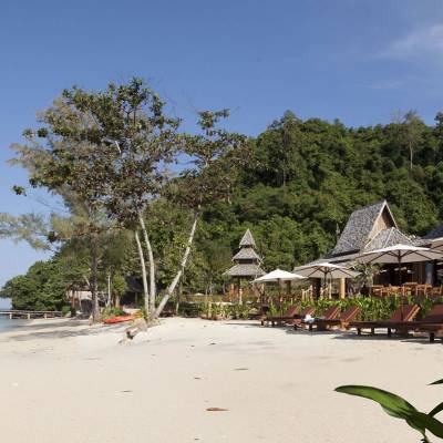 a group of palm trees on a beach