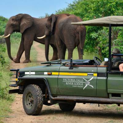 Game drive