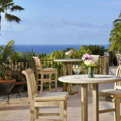 a group of palm trees on a table