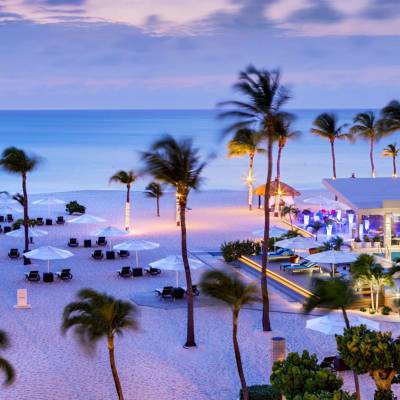 a group of palm trees next to a body of water