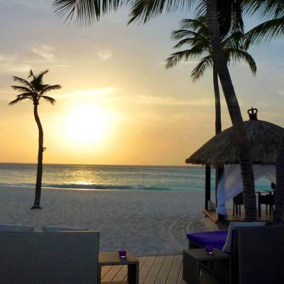 a beach with a palm tree sitting next to a body of water
