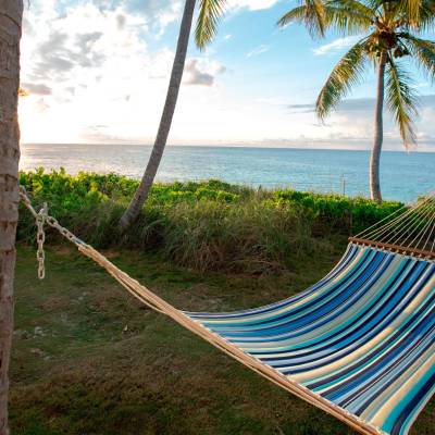 Hammock