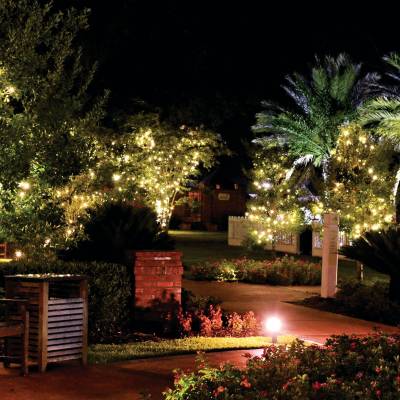 Nottoway Plantation Gardens