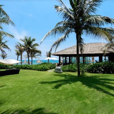 a large lawn in front of a palm tree