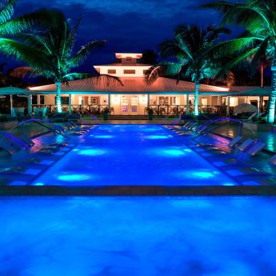 a group of palm trees next to a swimming pool