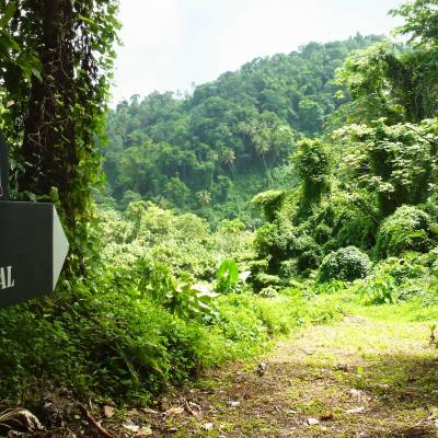 a sign on the side of a wooded area