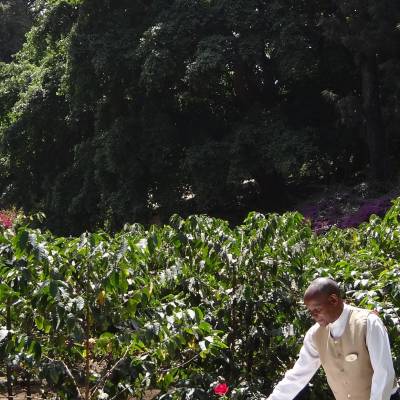 a man standing in front of a tree