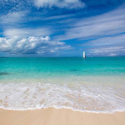 a sandy beach next to the ocean