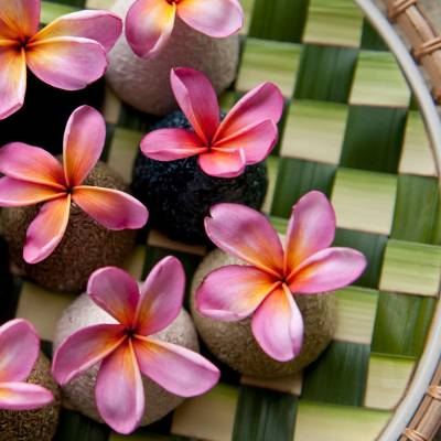 Bvlgari Spa Flowers