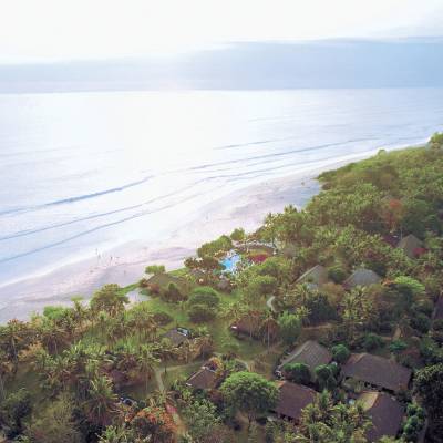a close up of a hillside next to a body of water