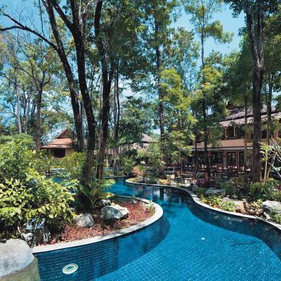 a pool next to a tree