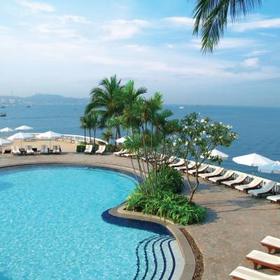 a row of palm trees next to a body of water
