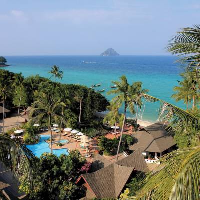 a group of palm trees next to a body of water