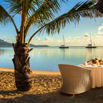 a beach with a palm tree sitting next to a body of water