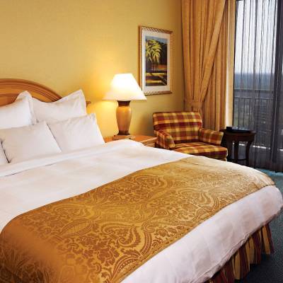 a bedroom with a large bed in a hotel room
