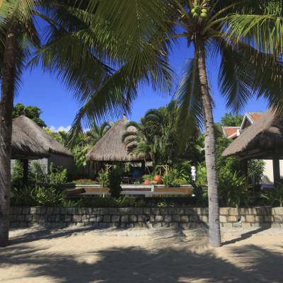 a palm tree in front of a house