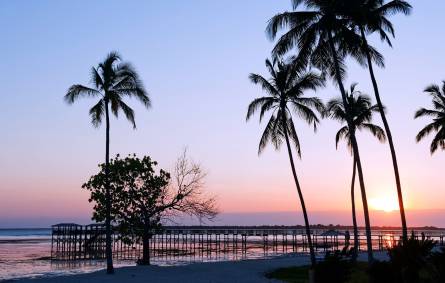 a beach with a palm tree in front of a body of water
