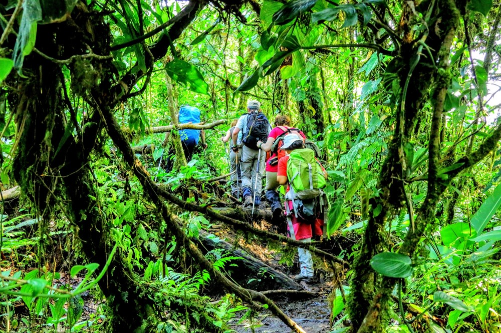 Enchanting Travels Costa Rica Tours CERRO CHATO VOLCANO Hiking in Arenal National Park