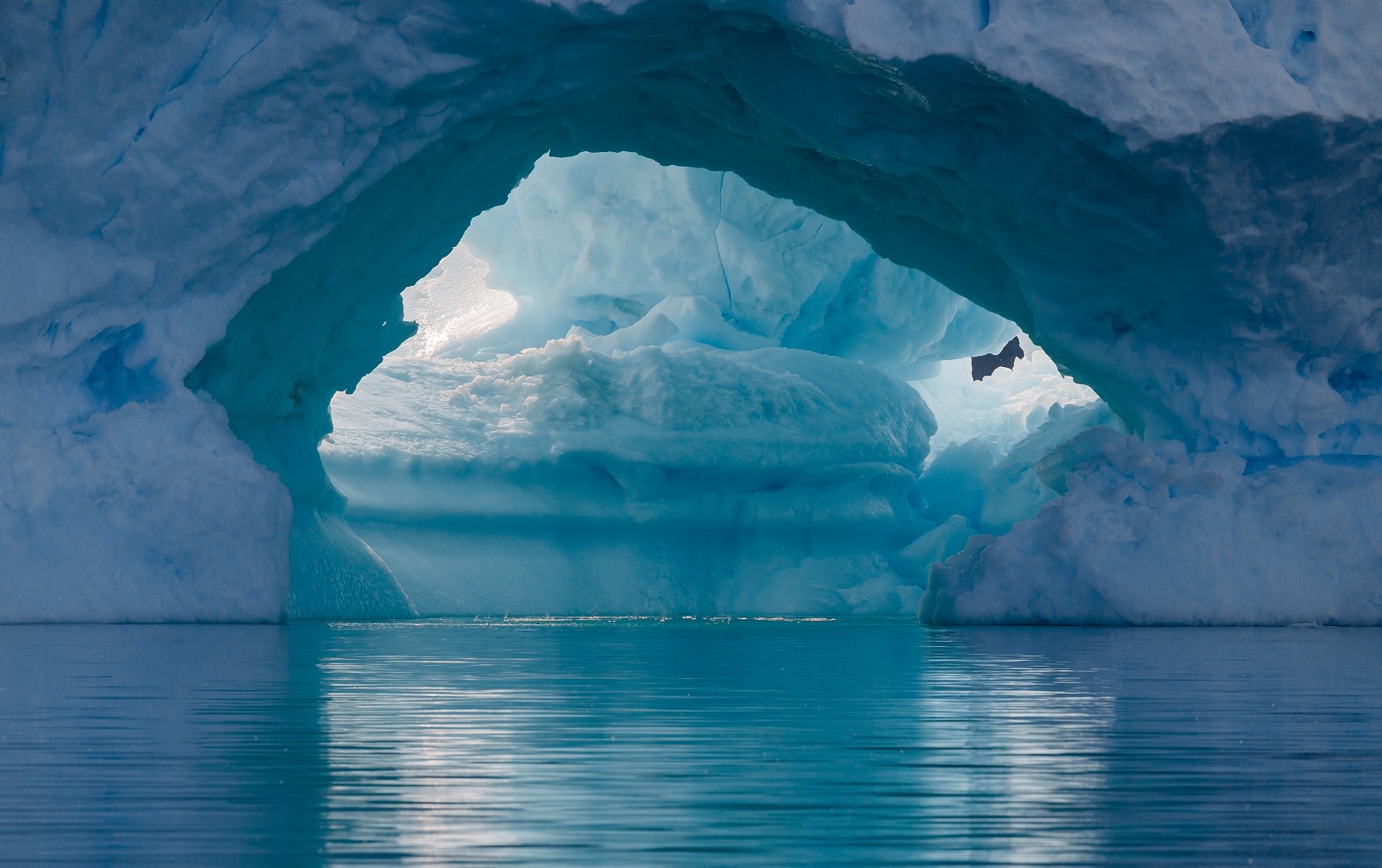 Enchanting Travels Antarctica Tours blue iceberg closeup Enchanting Travels Antarctica Tours blue iceberg closeup