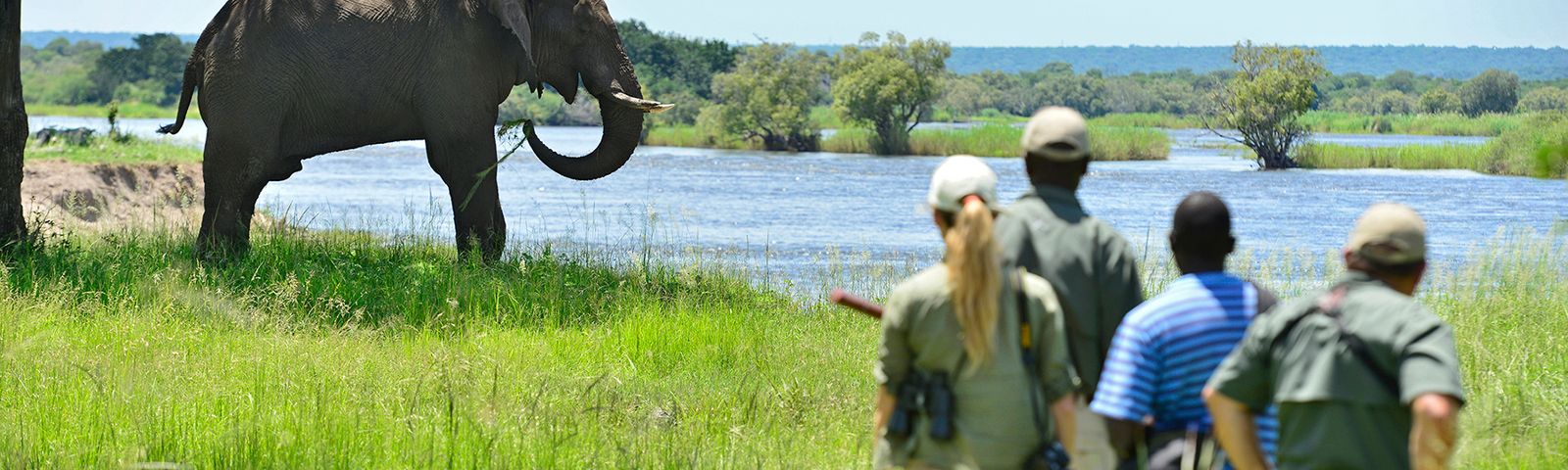 Best Time for a Wildlife Safari in Africa | Enchanting Travels