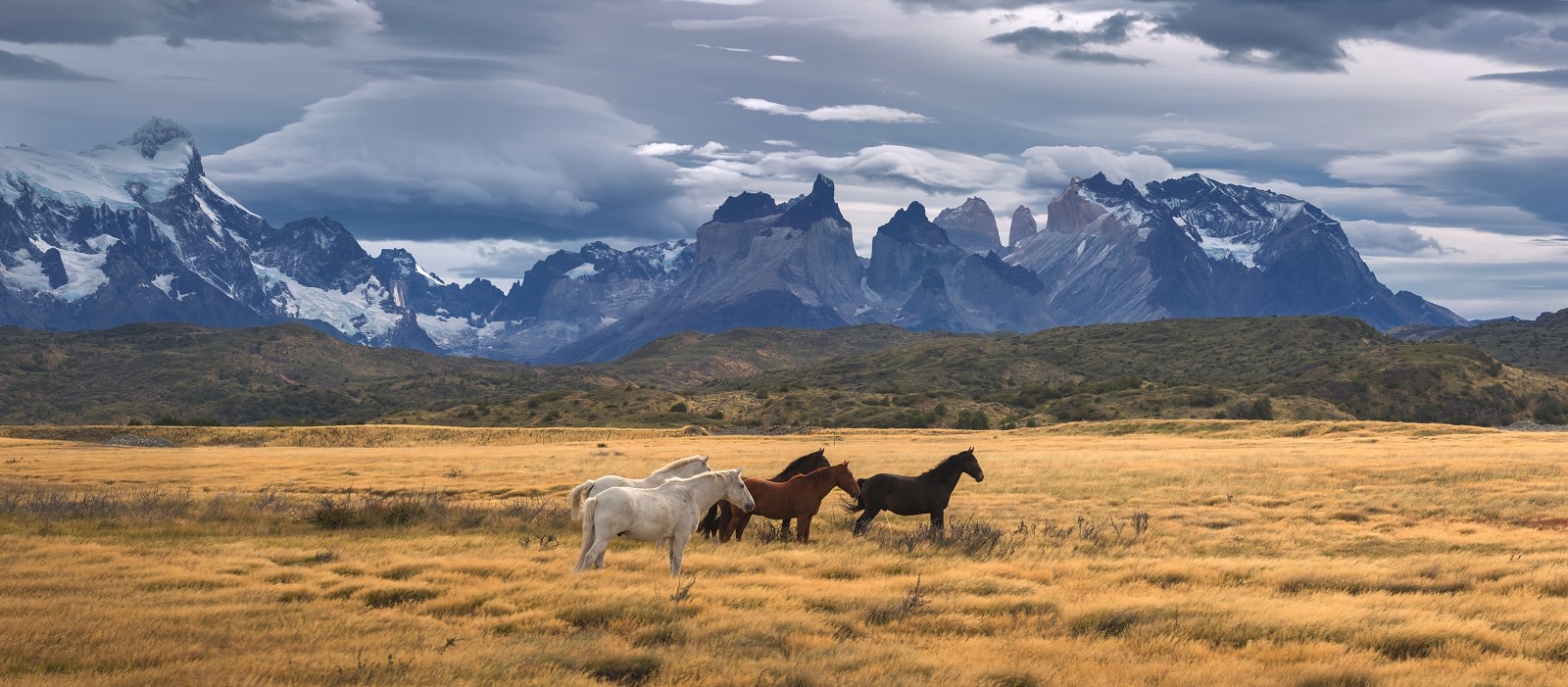 Enchanting Travels Torres del Paine National Park, Patagonia, Chile Enchanting Travels Torres del Paine National Park, Patagonia, Chile