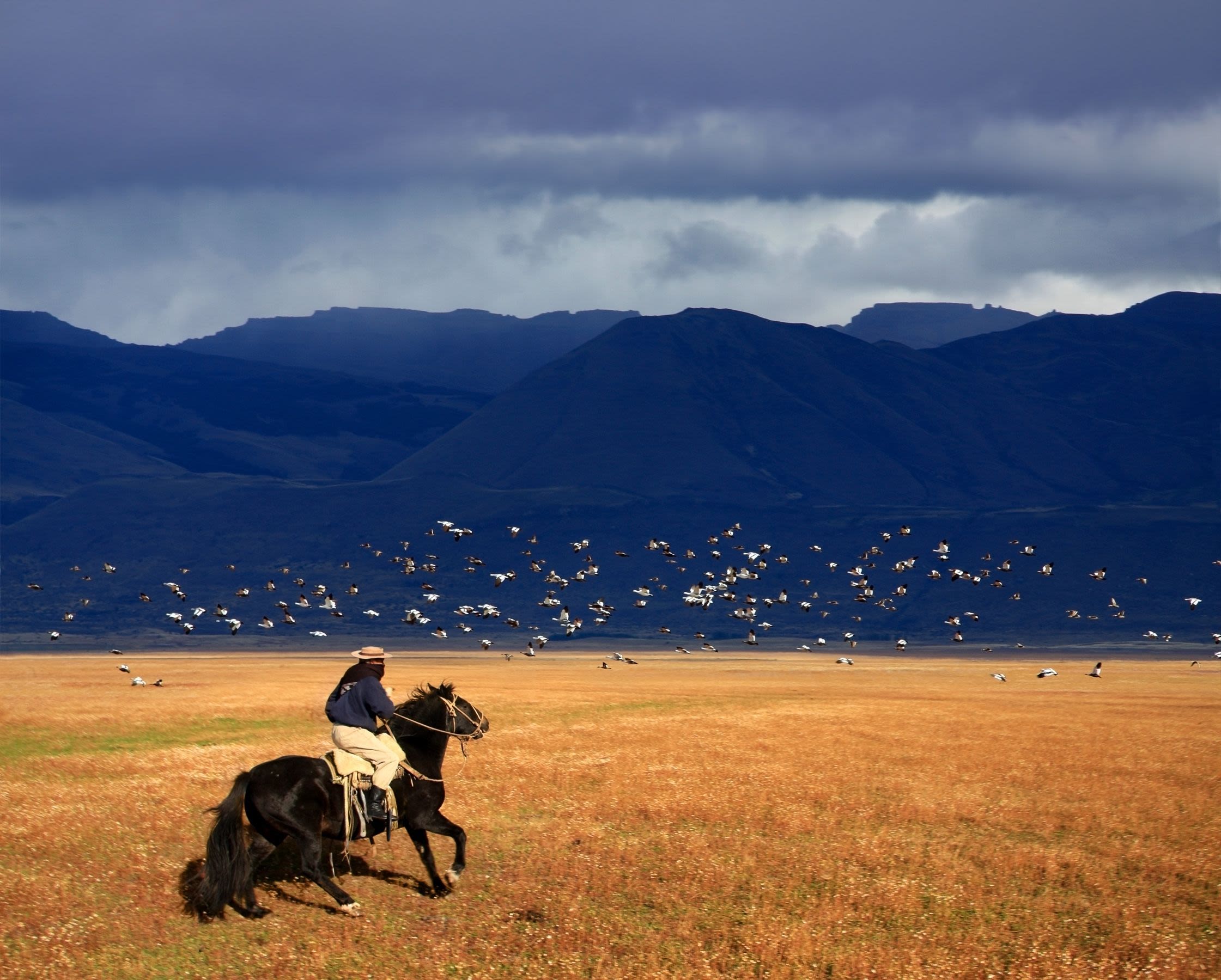 Horseback ride Argentina gaucho riding his horse in Patagonia, Argentina