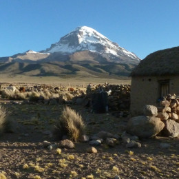 Enchanting Travels Bolivia Tours Sajama