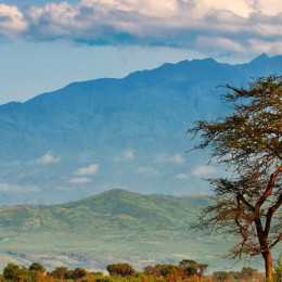 Uganda Safaris in Queen Elizabeth, umgeben von unberührter Natur