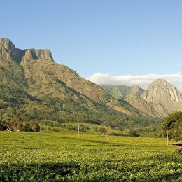 Naturparadies Mulanje