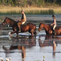 Horse Ride