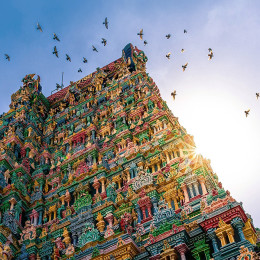 Visit Meenakshi Temple of Madurai on your South India tours