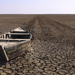 Rann of Kutch - Things to do in Central & West India