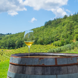 Weißwein und Weinberge, Istrien, Kroatien