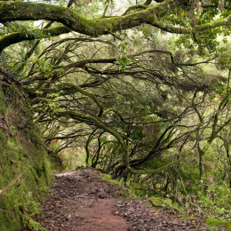 Enchanting Travels - Things to do in Portugal