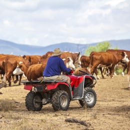 Australian farmer on quad bike, Australia Tours