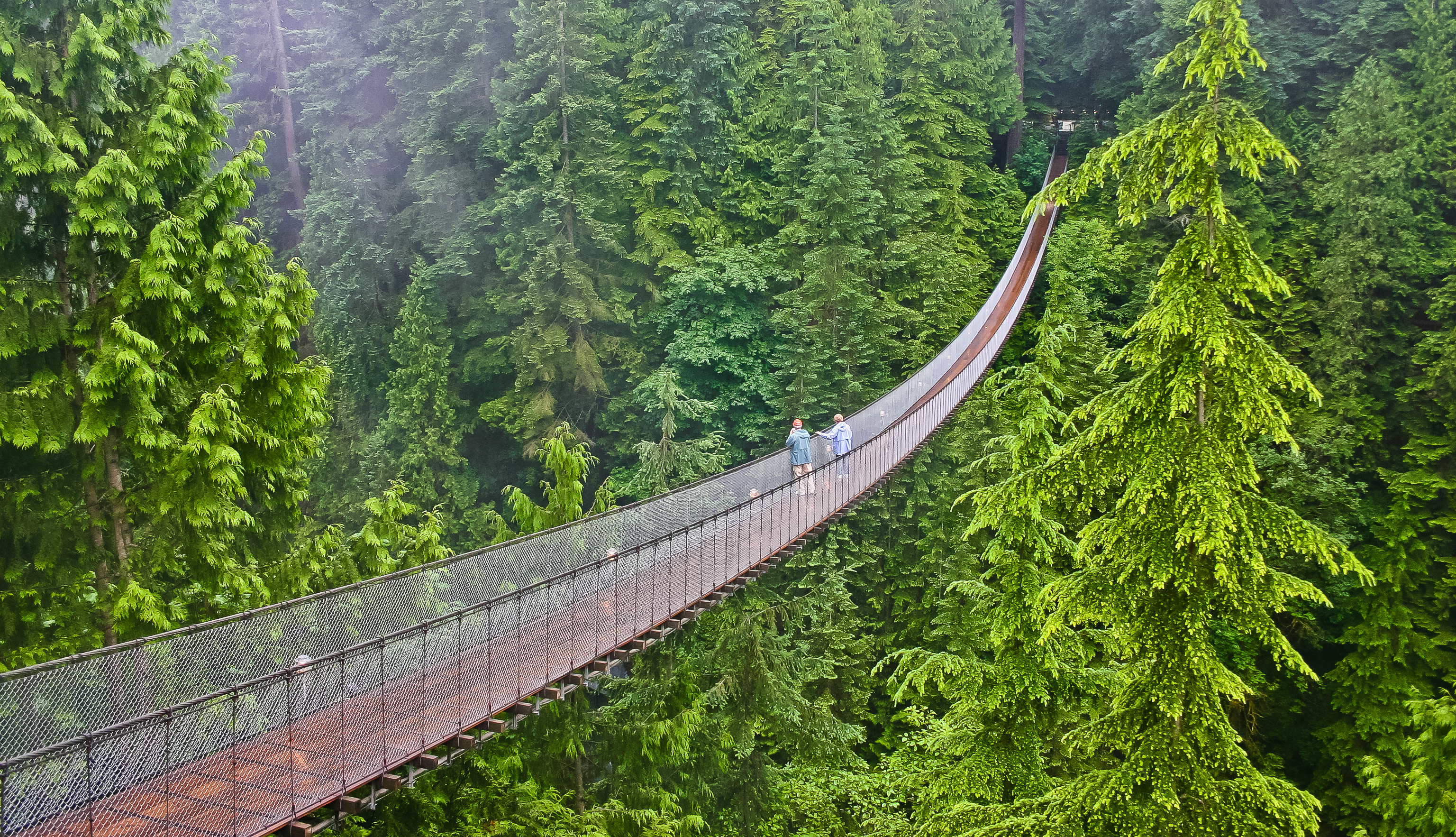 areial view of capilano suspension bridge vancouver canada Canada Travel Guide