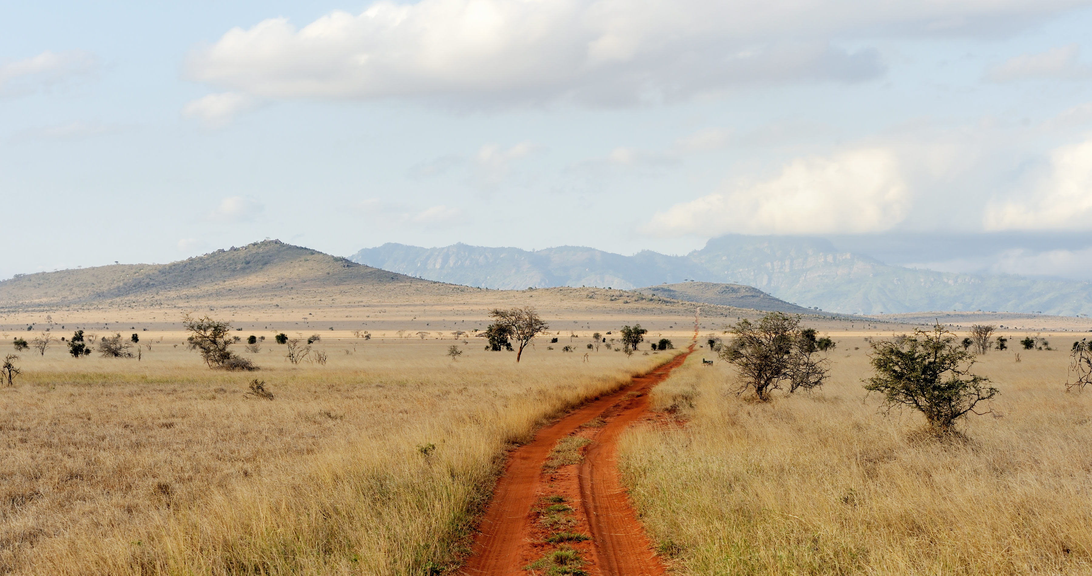Enchanting-Travels-Africa-Kenya-4 Savannah landscape in the National park in Kenya, Africa