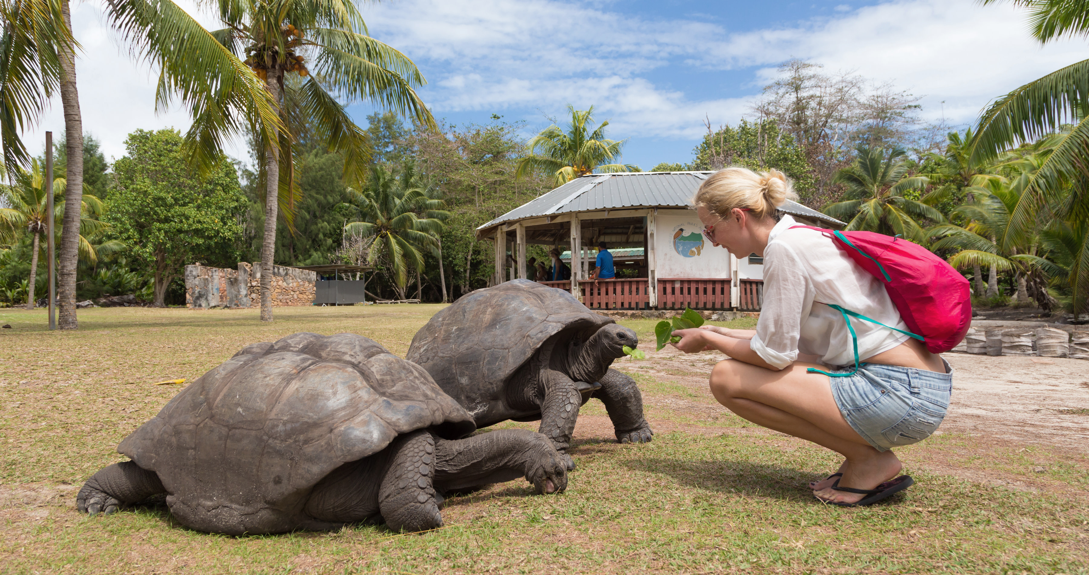 seychelles culture trip