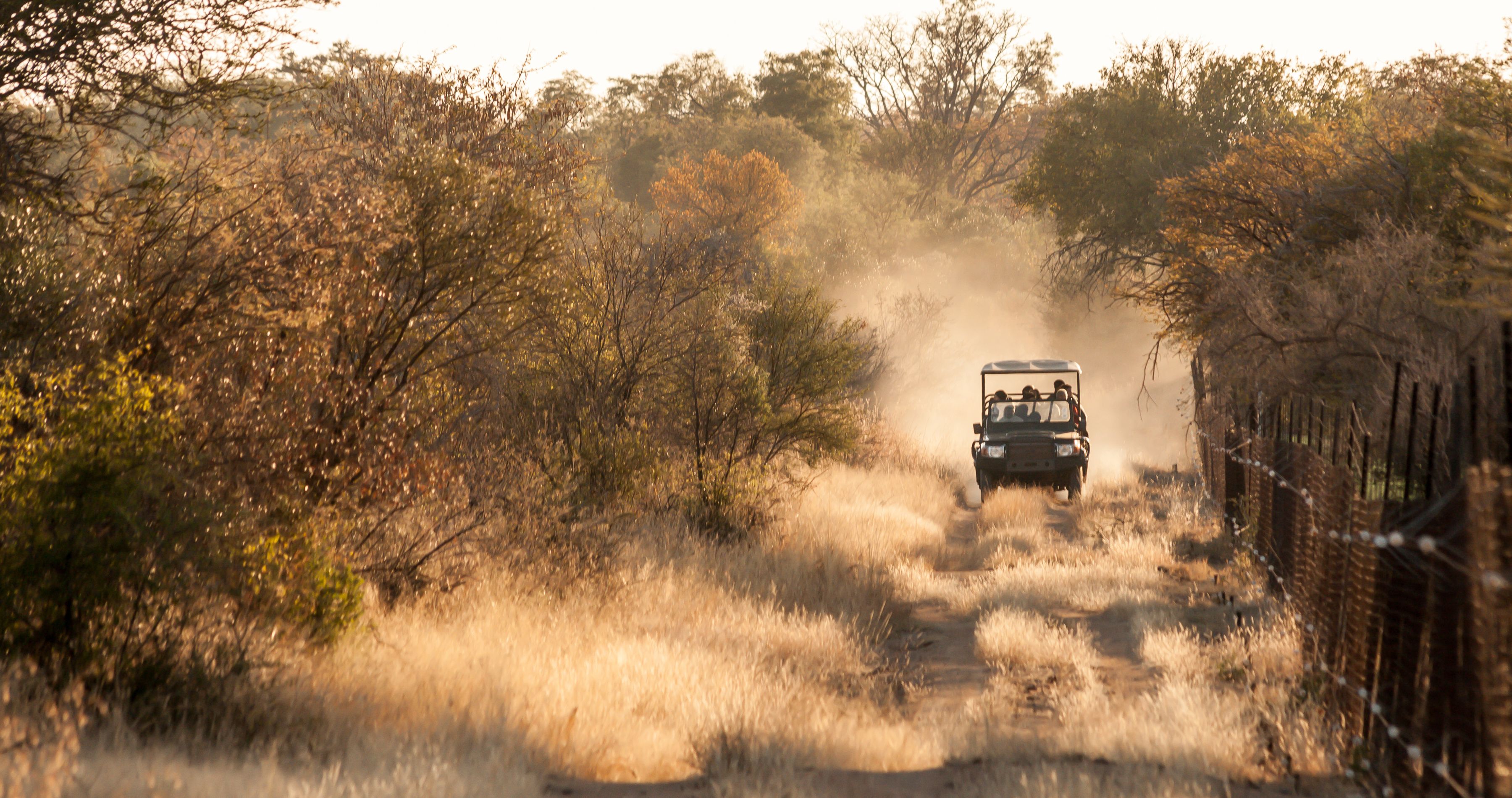Enchanting-Travels-Africa-Zimbabwe-9 Game drive vehicle on an early morning game drive 2hrs North of Johannesburg, South Africa