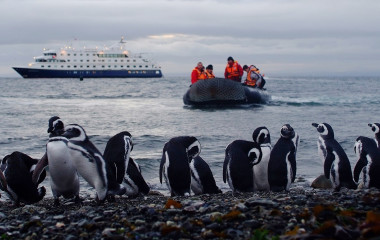 Our Pick: Five Enchanting Animal Encounters