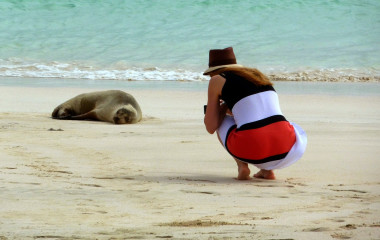 Photographing a seal on the beach - Visit the Galapagos Islands